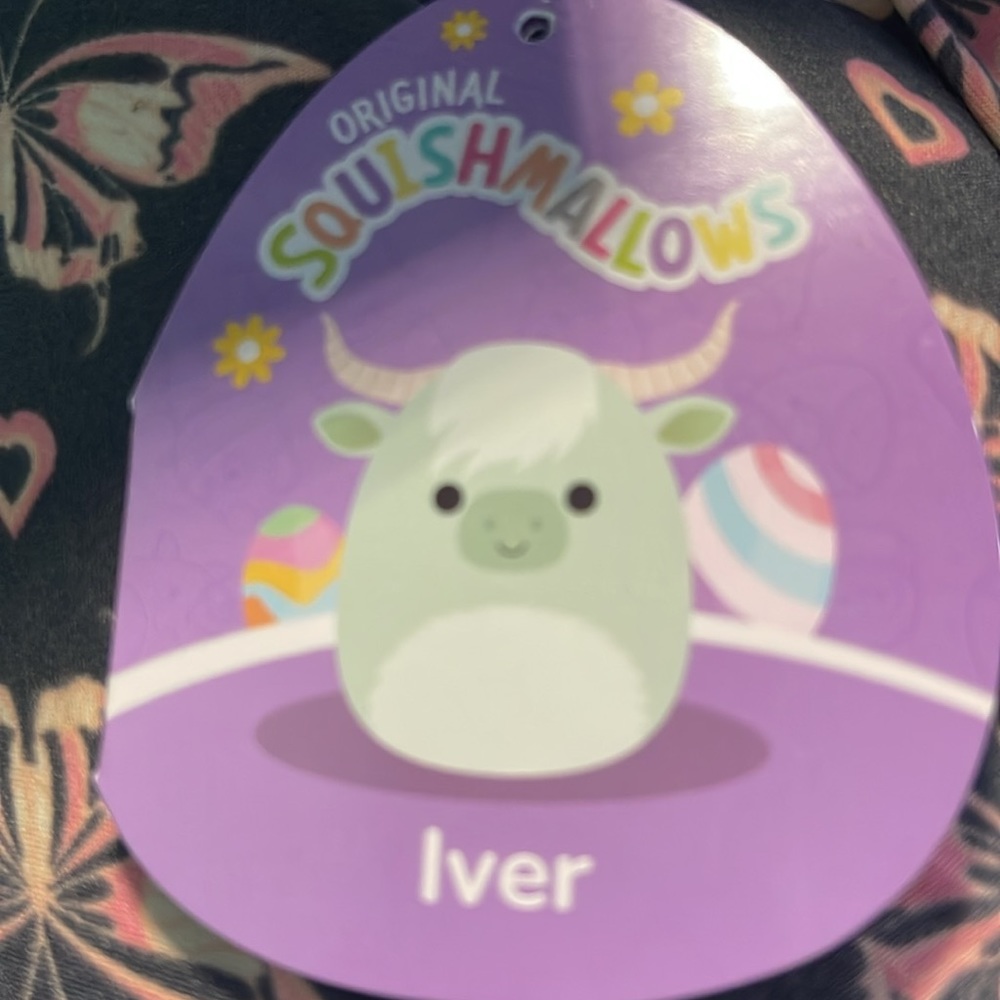 Iver - Picture 3 of 3